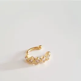 Piercing Fake Zag