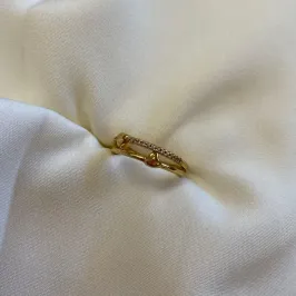 Anel Aro Duplo Coração