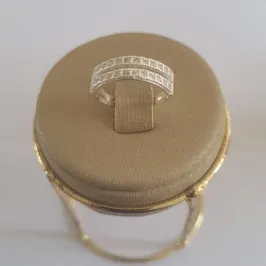 Anel 2 Fileiras Zircônia