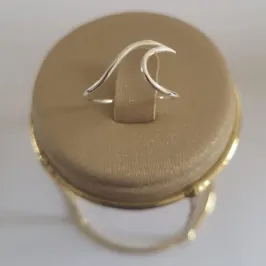 Anel Ondas de Prata