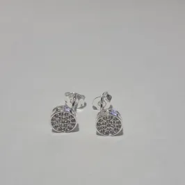 Brinco Redondo Prata