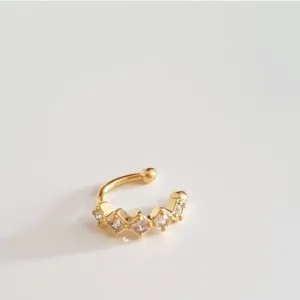 Piercing Fake Zag