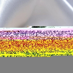 Anel Catherine