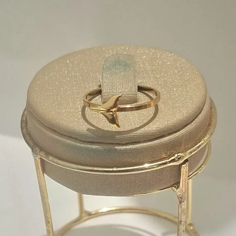 Anel Jeri