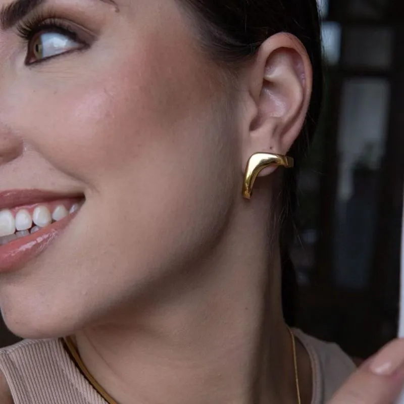 Brinco Ear Hook