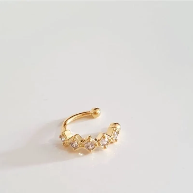 Piercing Fake Zag